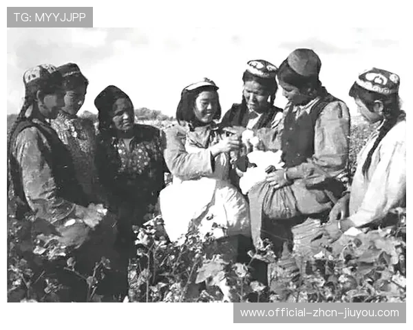 新疆70年:民族团结的光辉篇章,新疆名族团结